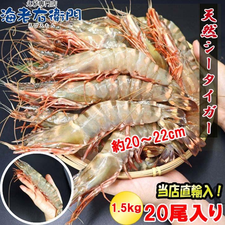 シータイガー 冷凍海老 当店直輸入 有頭 特大 冷凍エビ 超特大 天然有頭シータイガーえび 1.5kg 20尾サイズ スリランカ バーベキュー エビフライ 業務用 |  | 07