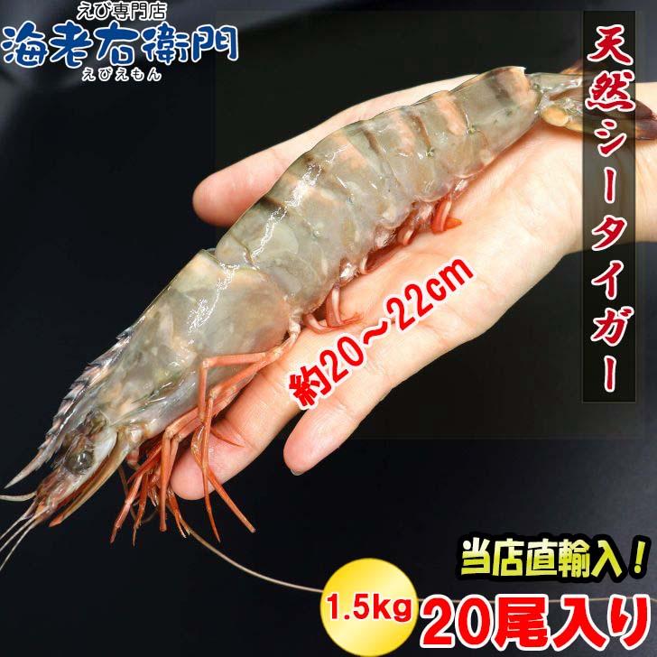 シータイガー 冷凍海老 当店直輸入 有頭 特大 冷凍エビ 超特大 天然有頭シータイガーえび 1.5kg 20尾サイズ スリランカ バーベキュー エビフライ 業務用 |  | 08