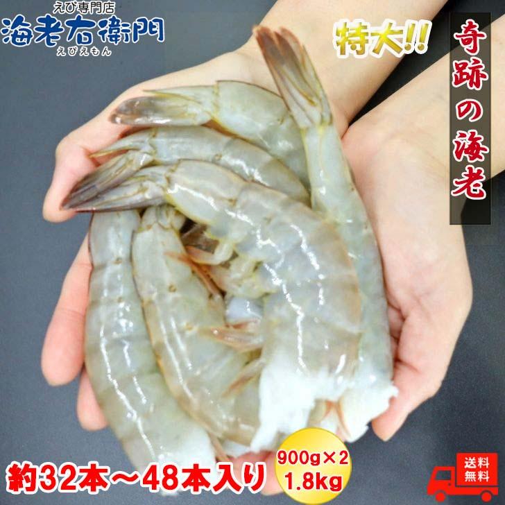 奇跡の海老 超特大サイズ 約32〜48本入り 8/12サイズ 活〆バナメイ 無頭えび 900g×2 1.8kg バナメイエビ 特大 冷凍 えび 海老 BBQ bbq食材 業務用 |  | 14