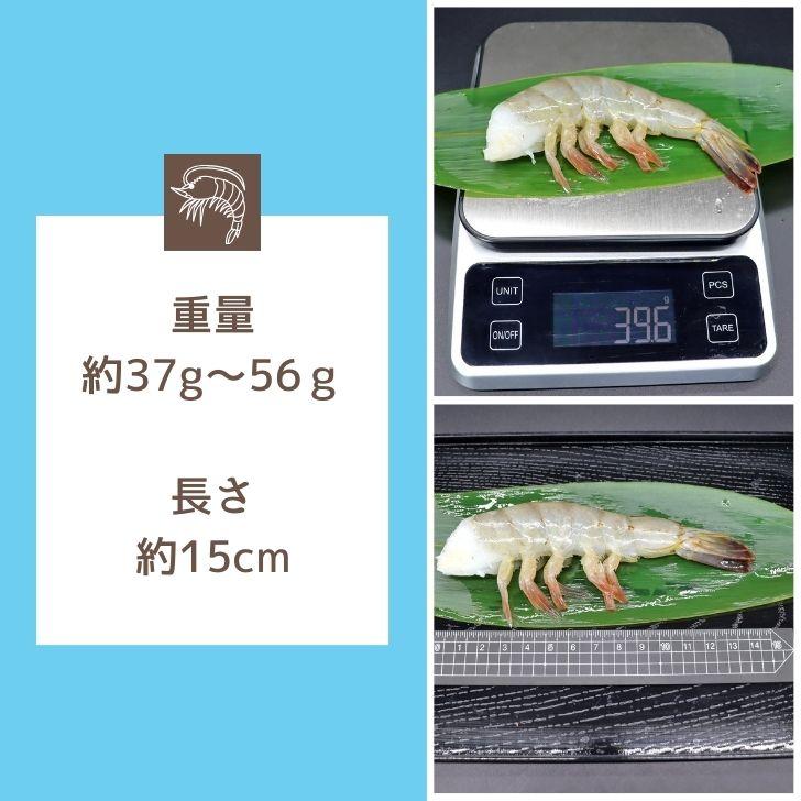 奇跡の海老 超特大サイズ 約32〜48本入り 8/12サイズ 活〆バナメイ 無頭えび 900g×2 1.8kg バナメイエビ 特大 冷凍 えび 海老 BBQ bbq食材 業務用 |  | 02