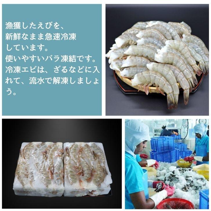 奇跡の海老 超特大サイズ 約32〜48本入り 8/12サイズ 活〆バナメイ 無頭えび 900g×2 1.8kg バナメイエビ 特大 冷凍 えび 海老 BBQ bbq食材 業務用 |  | 09