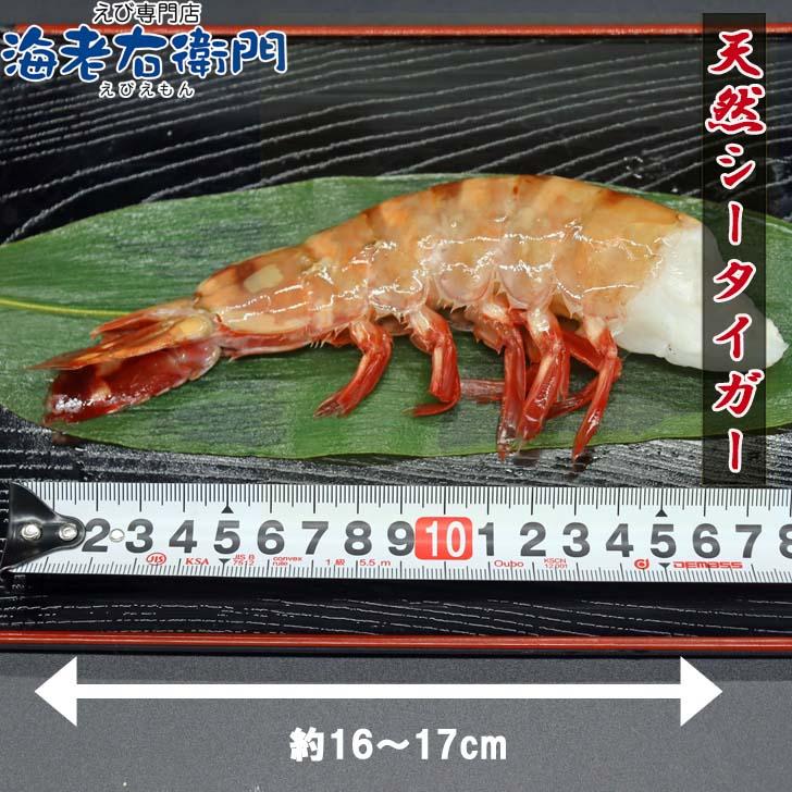 超超特大サイズ 4/6サイズ相当 約25尾入り ブラックタイガー 無頭えび 1.8kg ブロック プリプリ バーベキュー 無頭 えび 冷凍エビ 海老 天ぷら 業務用 |  | 03
