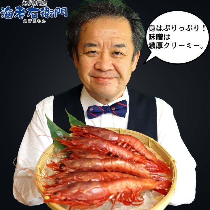 ”赤い悪魔”と呼ばれる海老 カラビネーロ 特大サイズ 5尾〜6尾入り 420g 業務用 ジャイアントスカーレットシュリンプ 紅魔海老 船内凍結 有頭えび 加熱用 |  | 11