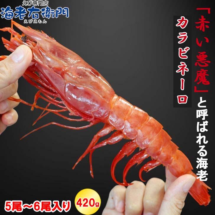 ”赤い悪魔”と呼ばれる海老 カラビネーロ 特大サイズ 5尾〜6尾入り 420g 業務用 ジャイアントスカーレットシュリンプ 紅魔海老 船内凍結 有頭えび 加熱用 |  | 02