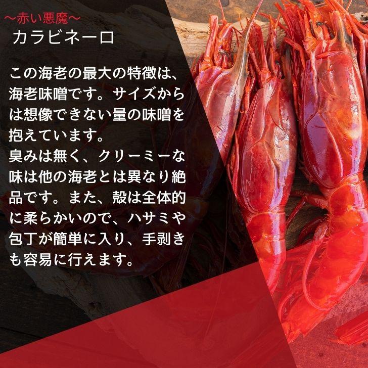 ”赤い悪魔”と呼ばれる海老 カラビネーロ 特大サイズ 5尾〜6尾入り 420g 業務用 ジャイアントスカーレットシュリンプ 紅魔海老 船内凍結 有頭えび 加熱用 |  | 04