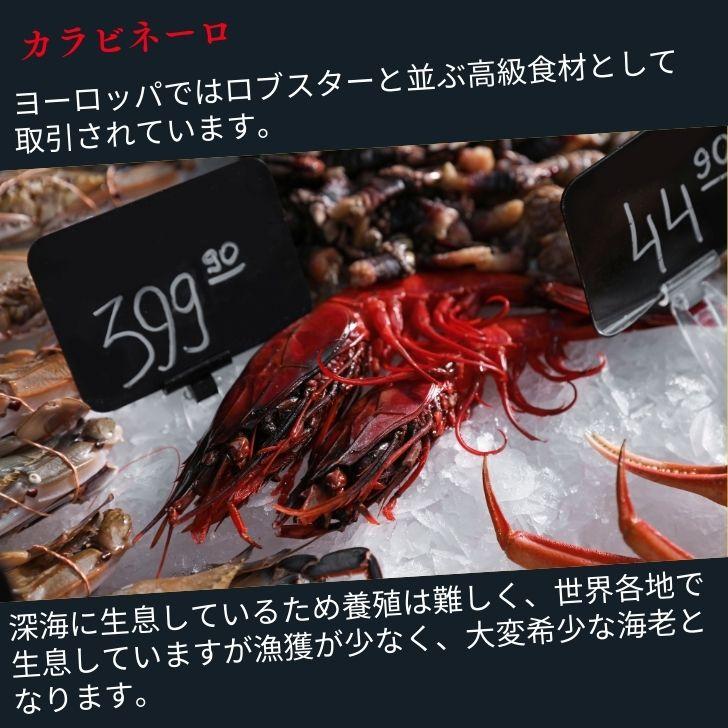 ”赤い悪魔”と呼ばれる海老 カラビネーロ 特大サイズ 5尾〜6尾入り 420g 業務用 ジャイアントスカーレットシュリンプ 紅魔海老 船内凍結 有頭えび 加熱用 |  | 06