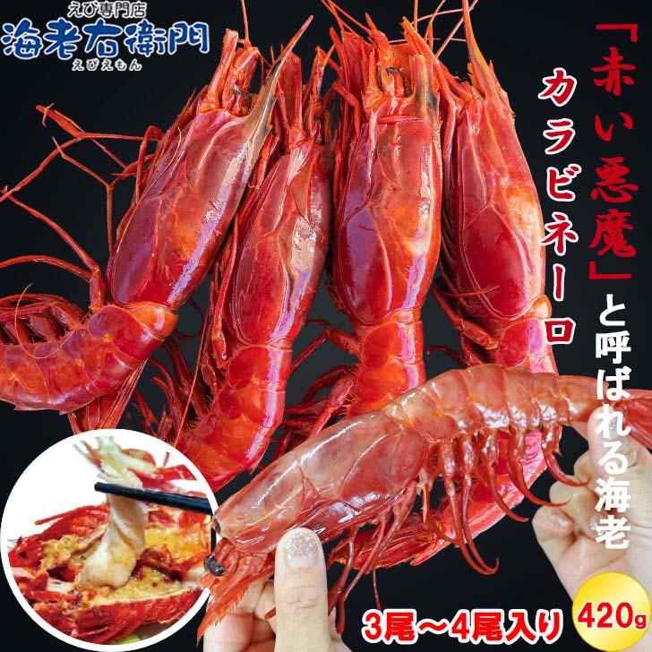 ”赤い悪魔”と呼ばれる海老 カラビネーロ 特大サイズ 3尾〜4尾入り 420g 業務用 ジャイアントスカーレットシュリンプ 紅魔海老 船内凍結 有頭えび 加熱用 | 
