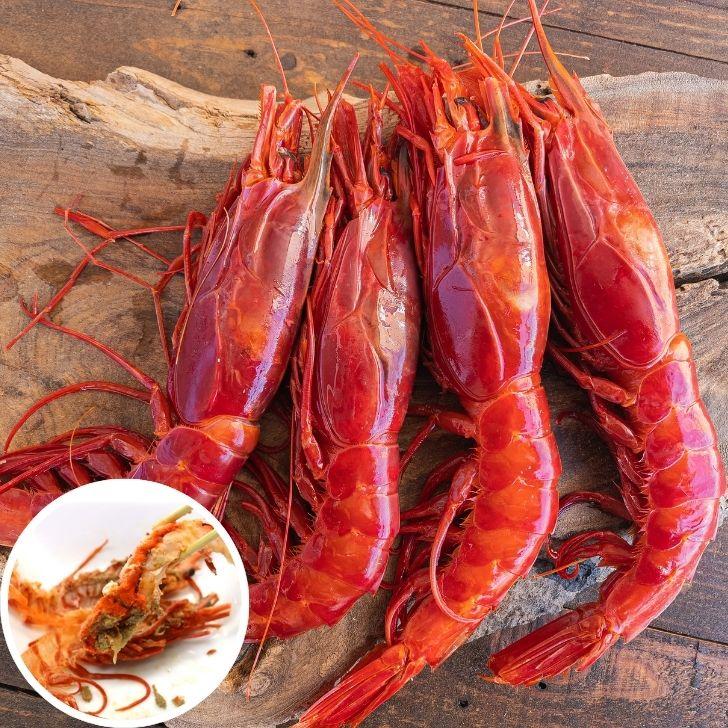 ”赤い悪魔”と呼ばれる海老 カラビネーロ 特大サイズ 3尾〜4尾入り 420g 業務用 ジャイアントスカーレットシュリンプ 紅魔海老 船内凍結 有頭えび 加熱用 |  | 15