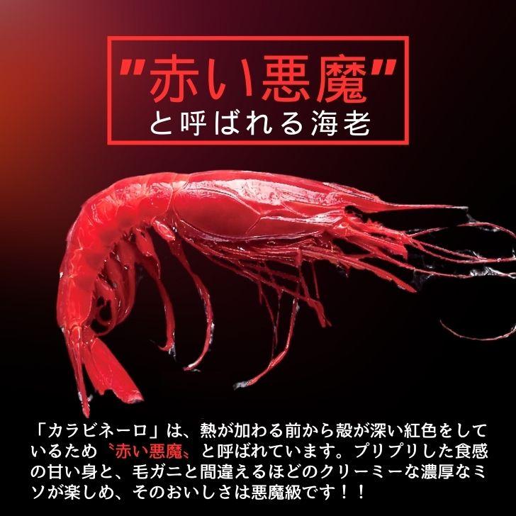 ”赤い悪魔”と呼ばれる海老 カラビネーロ 特大サイズ 3尾〜4尾入り 420g 業務用 ジャイアントスカーレットシュリンプ 紅魔海老 船内凍結 有頭えび 加熱用 |  | 01