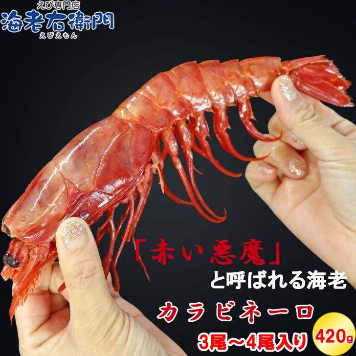 ”赤い悪魔”と呼ばれる海老 カラビネーロ 特大サイズ 3尾〜4尾入り 420g 業務用 ジャイアントスカーレットシュリンプ 紅魔海老 船内凍結 有頭えび 加熱用 |  | 08