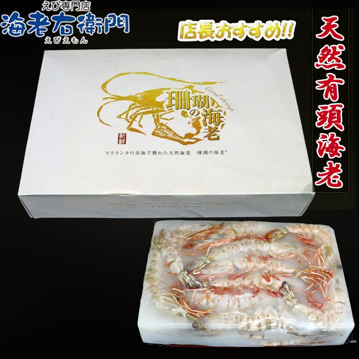天然有頭海老 1.5kg 25尾 長さ20cm級！ 冷凍えび フラワー海老 スリランカ バーベキュー エビフライ 塩焼き 天ぷら 業務用 |  | 10