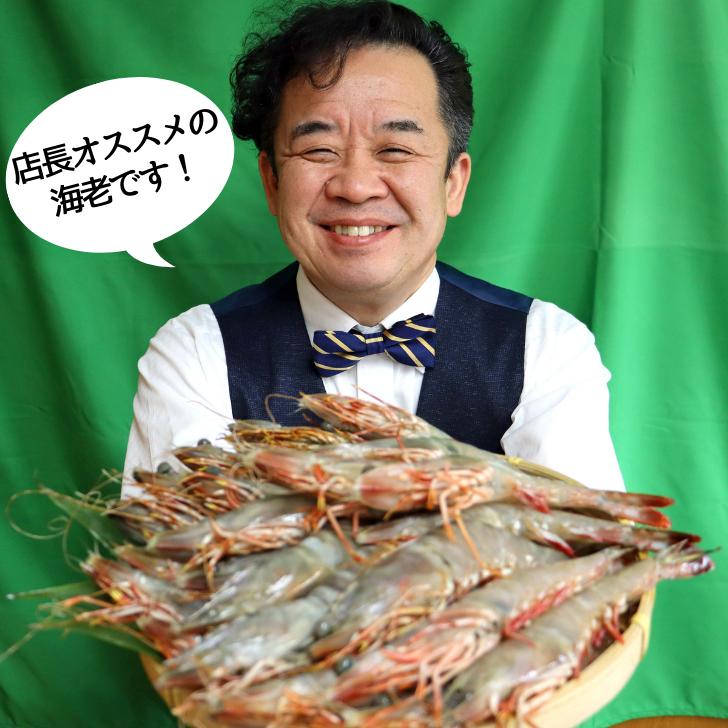 天然有頭海老 1.5kg 25尾 長さ20cm級！ 冷凍えび フラワー海老 スリランカ バーベキュー エビフライ 塩焼き 天ぷら 業務用 |  | 15