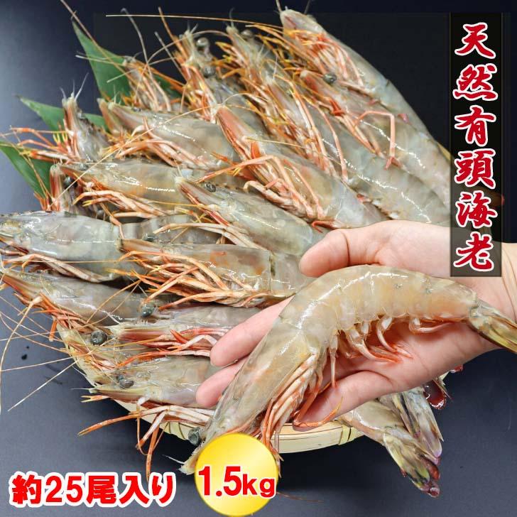 天然有頭海老 1.5kg 25尾 長さ20cm級！ 冷凍えび フラワー海老 スリランカ バーベキュー エビフライ 塩焼き 天ぷら 業務用 |  | 01