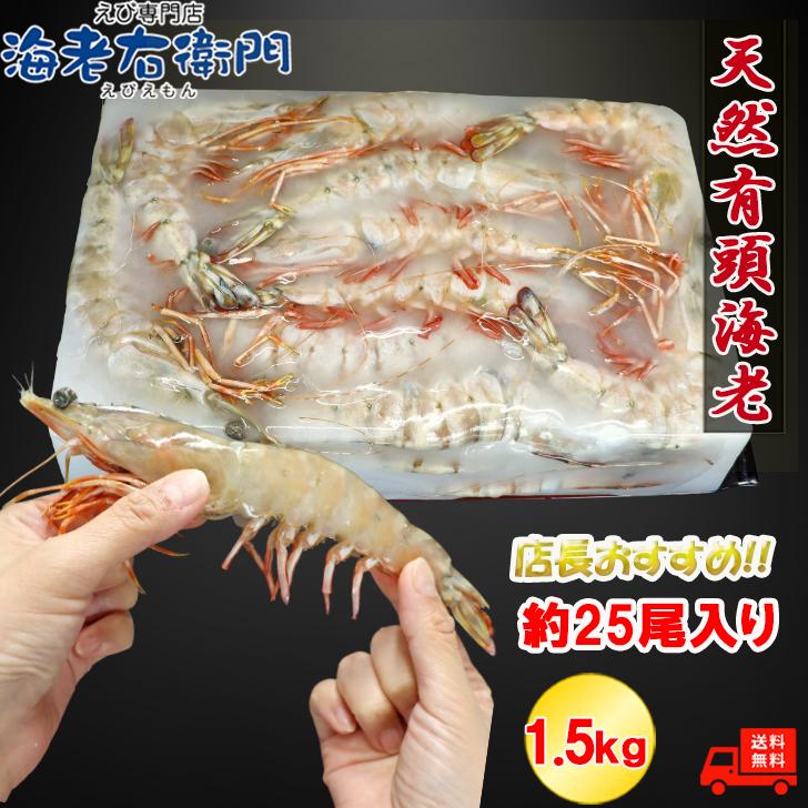 天然有頭海老 1.5kg 25尾 長さ20cm級！ 冷凍えび フラワー海老 スリランカ バーベキュー エビフライ 塩焼き 天ぷら 業務用 |  | 02