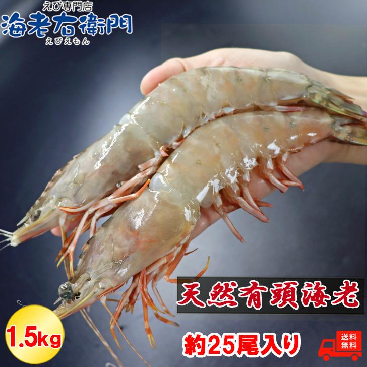 天然有頭海老 1.5kg 25尾 長さ20cm級！ 冷凍えび フラワー海老 スリランカ バーベキュー エビフライ 塩焼き 天ぷら 業務用 |  | 03