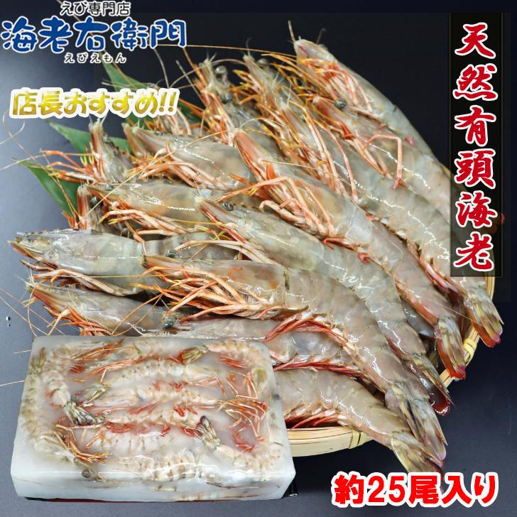 天然有頭海老 1.5kg 25尾 長さ20cm級！ 冷凍えび フラワー海老 スリランカ バーベキュー エビフライ 塩焼き 天ぷら 業務用 |  | 05