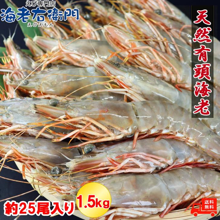 天然有頭海老 1.5kg 25尾 長さ20cm級！ 冷凍えび フラワー海老 スリランカ バーベキュー エビフライ 塩焼き 天ぷら 業務用 |  | 06