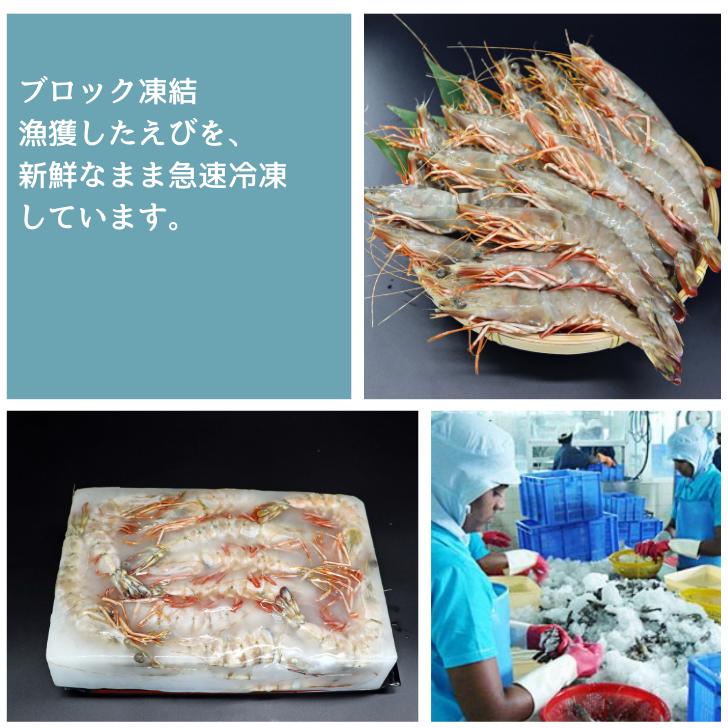 天然有頭海老 1.5kg 25尾 長さ20cm級！ 冷凍えび フラワー海老 スリランカ バーベキュー エビフライ 塩焼き 天ぷら 業務用 |  | 08