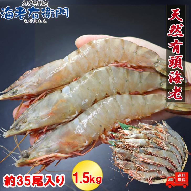 天然有頭海老 1.5kg 35尾 長さ17cm級！ 冷凍えび フラワー海老 スリランカ バーベキュー エビフライ 塩焼き 天ぷら 業務用 | 