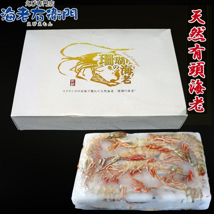 天然有頭海老 1.5kg 35尾 長さ17cm級！ 冷凍えび フラワー海老 スリランカ バーベキュー エビフライ 塩焼き 天ぷら 業務用 |  | 10