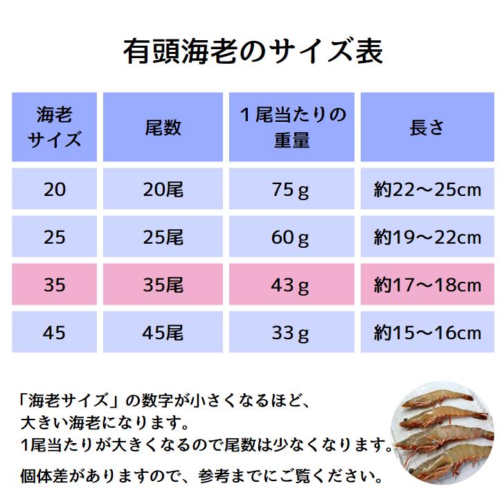 天然有頭海老 1.5kg 35尾 長さ17cm級！ 冷凍えび フラワー海老 スリランカ バーベキュー エビフライ 塩焼き 天ぷら 業務用 |  | 11