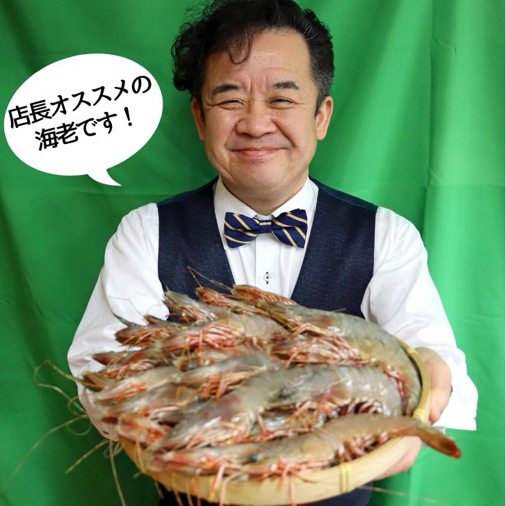 天然有頭海老 1.5kg 35尾 長さ17cm級！ 冷凍えび フラワー海老 スリランカ バーベキュー エビフライ 塩焼き 天ぷら 業務用 |  | 15