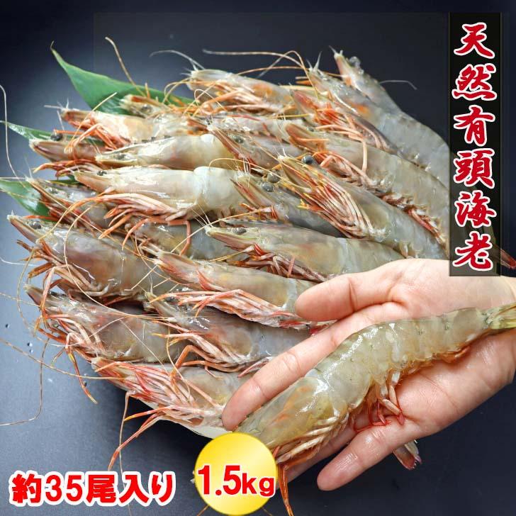 天然有頭海老 1.5kg 35尾 長さ17cm級！ 冷凍えび フラワー海老 スリランカ バーベキュー エビフライ 塩焼き 天ぷら 業務用 |  | 01