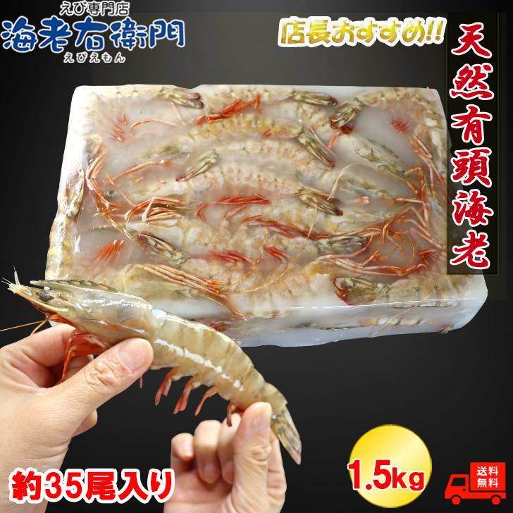 天然有頭海老 1.5kg 35尾 長さ17cm級！ 冷凍えび フラワー海老 スリランカ バーベキュー エビフライ 塩焼き 天ぷら 業務用 |  | 02