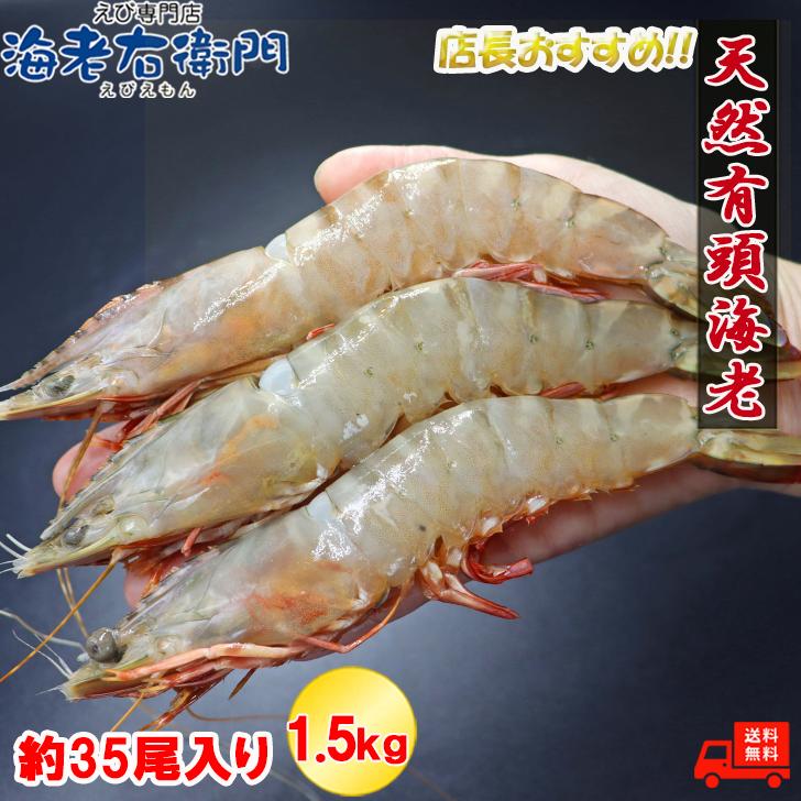 天然有頭海老 1.5kg 35尾 長さ17cm級！ 冷凍えび フラワー海老 スリランカ バーベキュー エビフライ 塩焼き 天ぷら 業務用 |  | 03