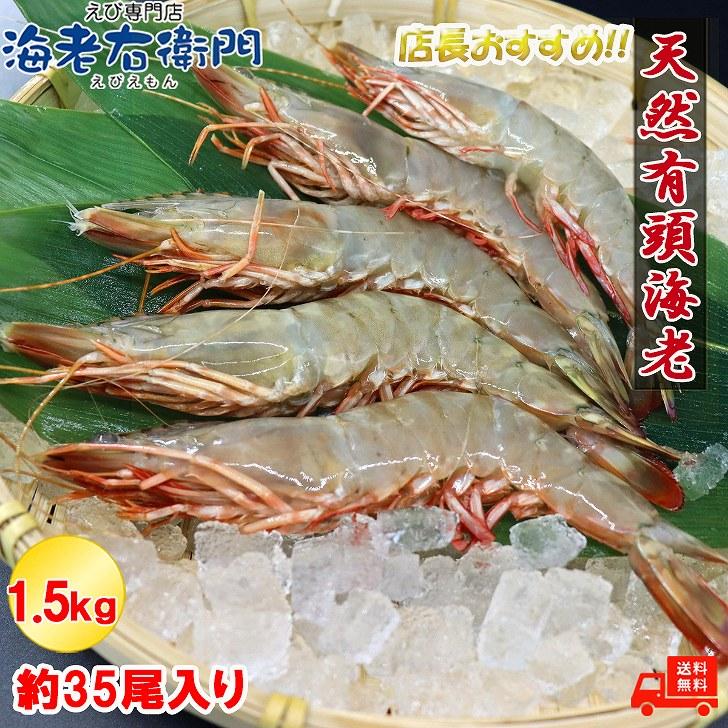天然有頭海老 1.5kg 35尾 長さ17cm級！ 冷凍えび フラワー海老 スリランカ バーベキュー エビフライ 塩焼き 天ぷら 業務用 |  | 05