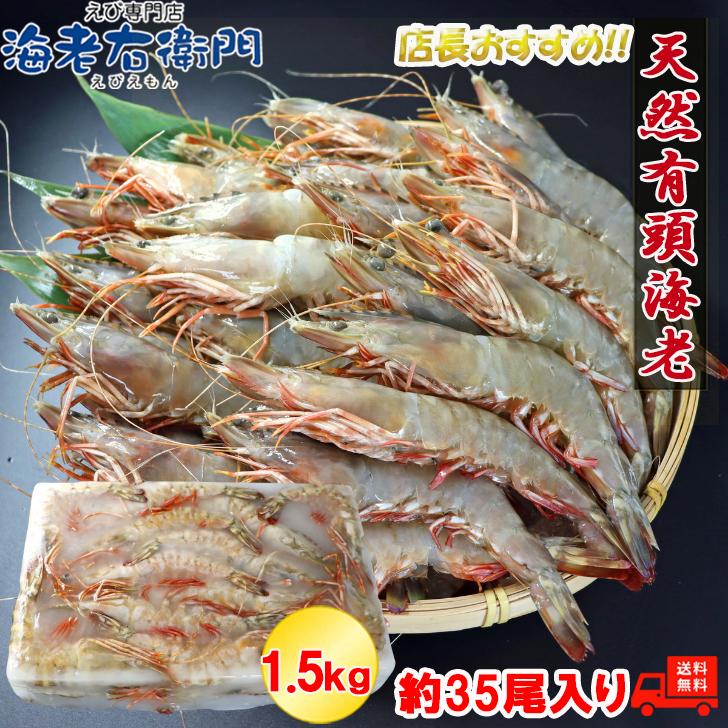 天然有頭海老 1.5kg 35尾 長さ17cm級！ 冷凍えび フラワー海老 スリランカ バーベキュー エビフライ 塩焼き 天ぷら 業務用 |  | 06