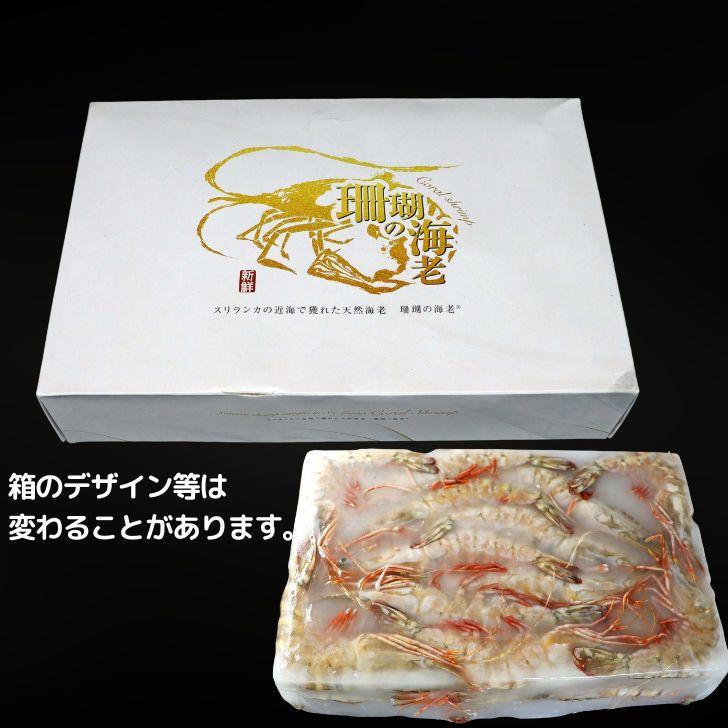 天然有頭海老 1.5kg 45尾 長さ16cm級！ 冷凍えび スリランカ バーベキュー エビフライ 塩焼き 天ぷら 業務用 |  | 10