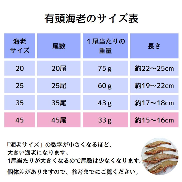 天然有頭海老 1.5kg 45尾 長さ16cm級！ 冷凍えび スリランカ バーベキュー エビフライ 塩焼き 天ぷら 業務用 |  | 11