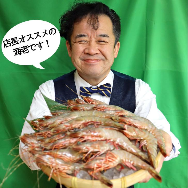 天然有頭海老 1.5kg 45尾 長さ16cm級！ 冷凍えび スリランカ バーベキュー エビフライ 塩焼き 天ぷら 業務用 |  | 15