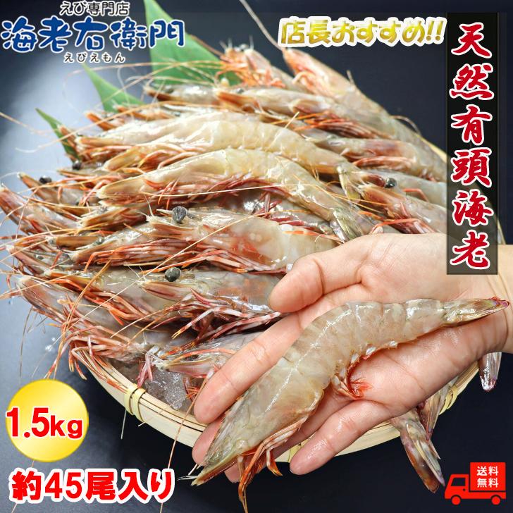 天然有頭海老 1.5kg 45尾 長さ16cm級！ 冷凍えび スリランカ バーベキュー エビフライ 塩焼き 天ぷら 業務用 |  | 01
