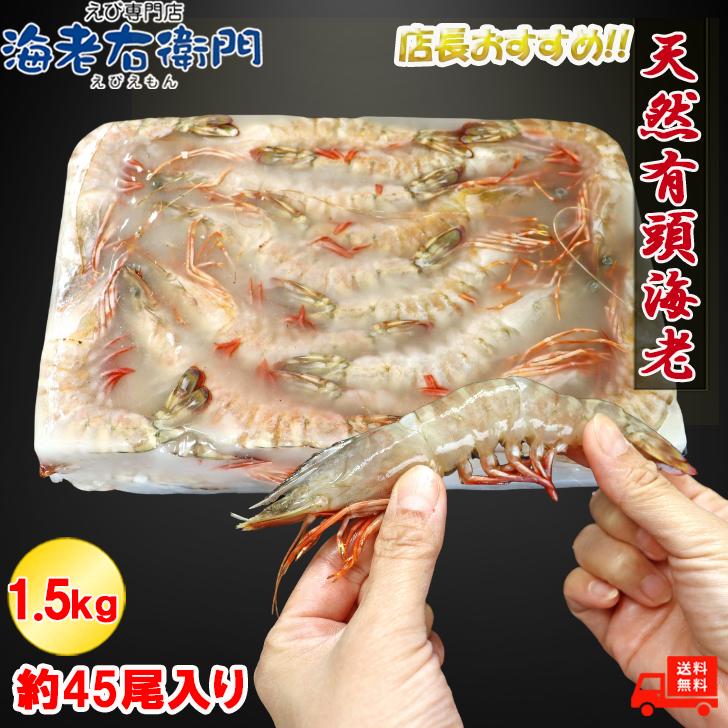 天然有頭海老 1.5kg 45尾 長さ16cm級！ 冷凍えび スリランカ バーベキュー エビフライ 塩焼き 天ぷら 業務用 |  | 02