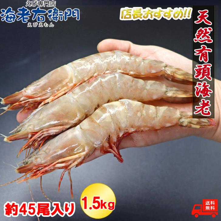 天然有頭海老 1.5kg 45尾 長さ16cm級！ 冷凍えび スリランカ バーベキュー エビフライ 塩焼き 天ぷら 業務用 |  | 03