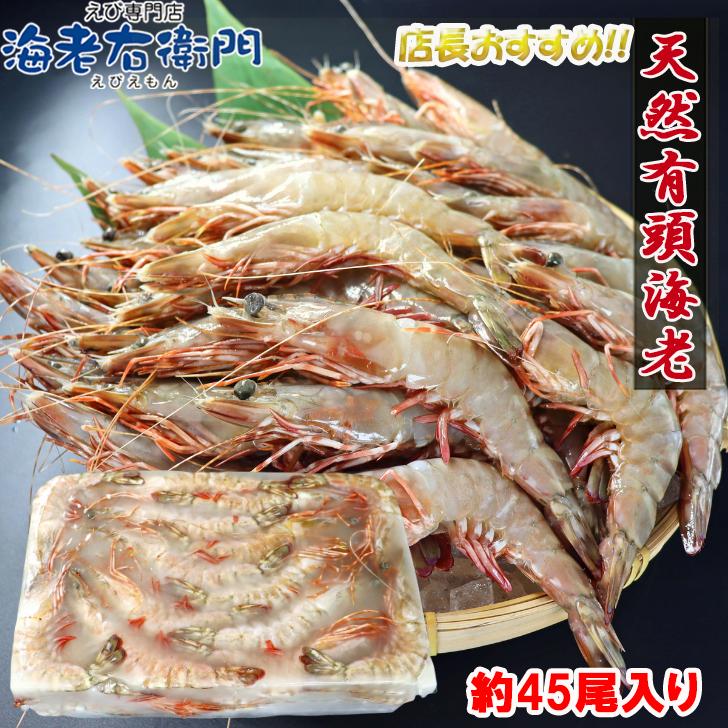 天然有頭海老 1.5kg 45尾 長さ16cm級！ 冷凍えび スリランカ バーベキュー エビフライ 塩焼き 天ぷら 業務用 |  | 05