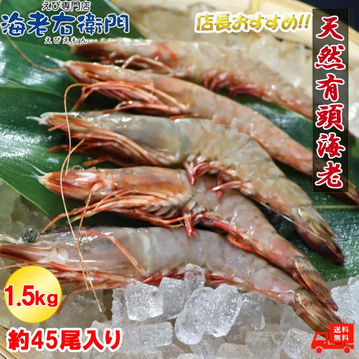 天然有頭海老 1.5kg 45尾 長さ16cm級！ 冷凍えび スリランカ バーベキュー エビフライ 塩焼き 天ぷら 業務用 |  | 06