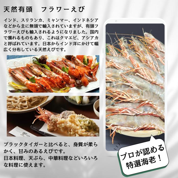 天然有頭海老 1.5kg 45尾 長さ16cm級！ 冷凍えび スリランカ バーベキュー エビフライ 塩焼き 天ぷら 業務用 |  | 07