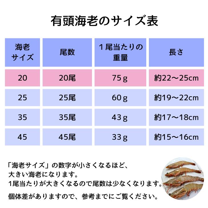 天然有頭海老 1.5kg 20尾 長さ20cm級！ 冷凍えび フラワー海老 スリランカ バーベキュー エビフライ 塩焼き 天ぷら 業務用 |  | 11