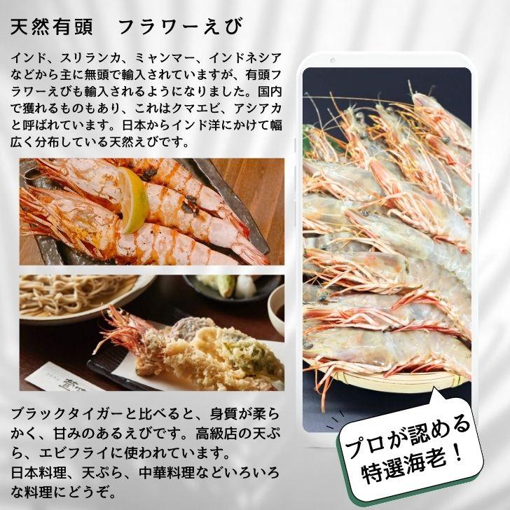 天然有頭海老 1.5kg 20尾 長さ20cm級！ 冷凍えび フラワー海老 スリランカ バーベキュー エビフライ 塩焼き 天ぷら 業務用 |  | 14