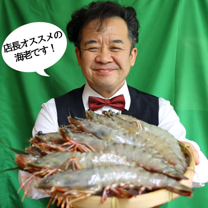 天然有頭海老 1.5kg 20尾 長さ20cm級！ 冷凍えび フラワー海老 スリランカ バーベキュー エビフライ 塩焼き 天ぷら 業務用 |  | 17