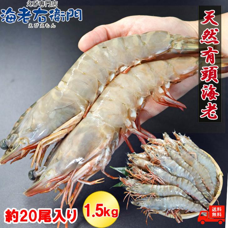 天然有頭海老 1.5kg 20尾 長さ20cm級！ 冷凍えび フラワー海老 スリランカ バーベキュー エビフライ 塩焼き 天ぷら 業務用 |  | 01