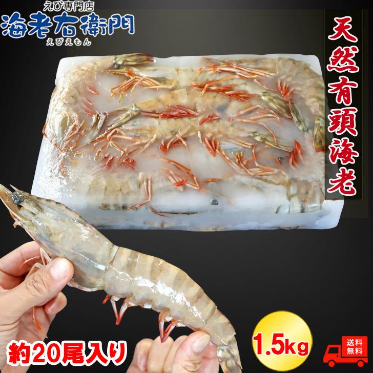 天然有頭海老 1.5kg 20尾 長さ20cm級！ 冷凍えび フラワー海老 スリランカ バーベキュー エビフライ 塩焼き 天ぷら 業務用 |  | 02