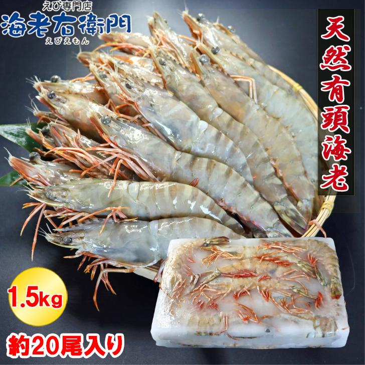 天然有頭海老 1.5kg 20尾 長さ20cm級！ 冷凍えび フラワー海老 スリランカ バーベキュー エビフライ 塩焼き 天ぷら 業務用 |  | 05