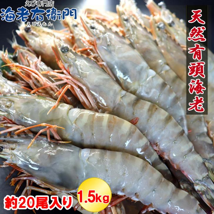 天然有頭海老 1.5kg 20尾 長さ20cm級！ 冷凍えび フラワー海老 スリランカ バーベキュー エビフライ 塩焼き 天ぷら 業務用 |  | 07
