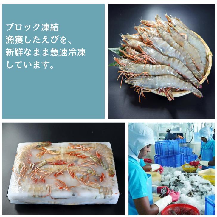 天然有頭海老 1.5kg 20尾 長さ20cm級！ 冷凍えび フラワー海老 スリランカ バーベキュー エビフライ 塩焼き 天ぷら 業務用 |  | 08