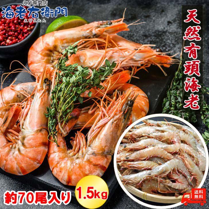 天然有頭海老 1.5kg 70尾 長さ13cm級！ 冷凍えび スリランカ バーベキュー エビフライ 塩焼き 天ぷら おせち 海鮮 天然えび 業務用 | 