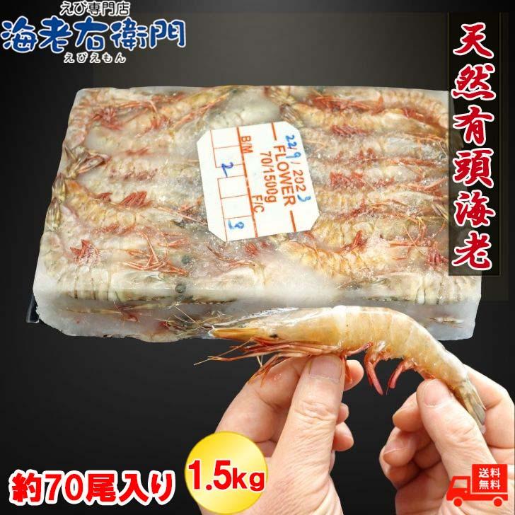 天然有頭海老 1.5kg 70尾 長さ13cm級！ 冷凍えび スリランカ バーベキュー エビフライ 塩焼き 天ぷら おせち 海鮮 天然えび 業務用 |  | 03